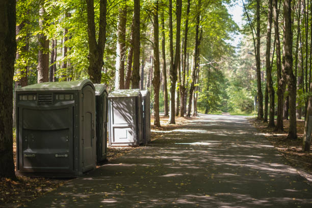 Affordable portable toilet rental in Spring Lake Park, MN